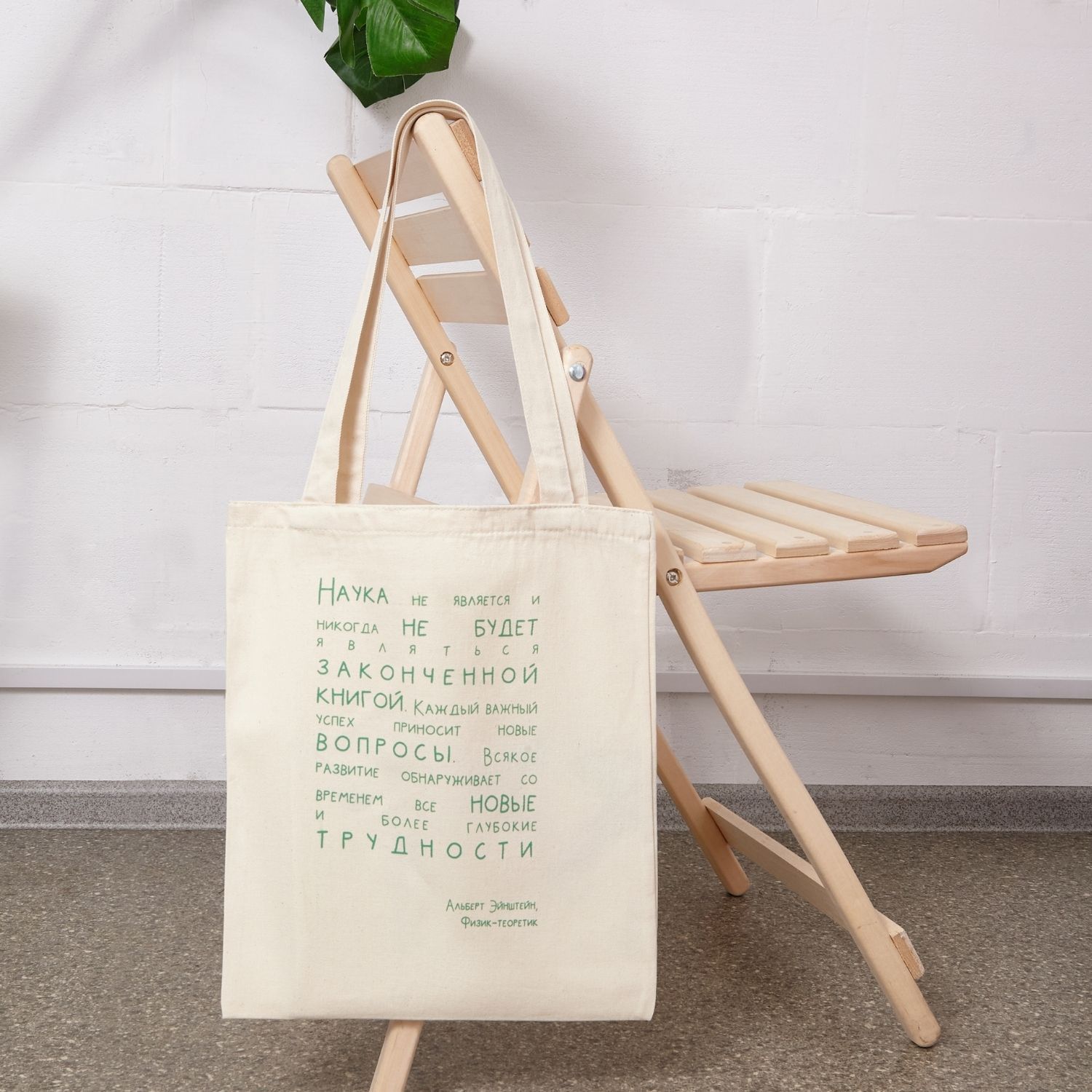 Шопер с цитатой А.Эйнштейна