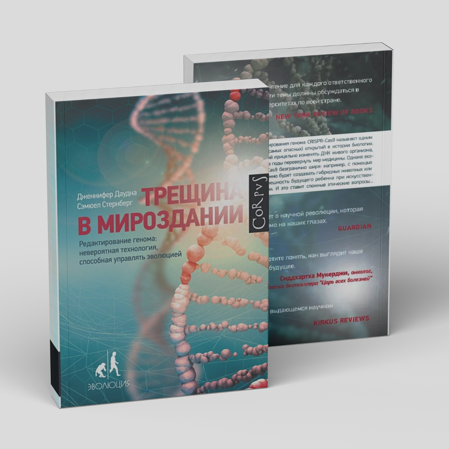 Трещина в мироздании