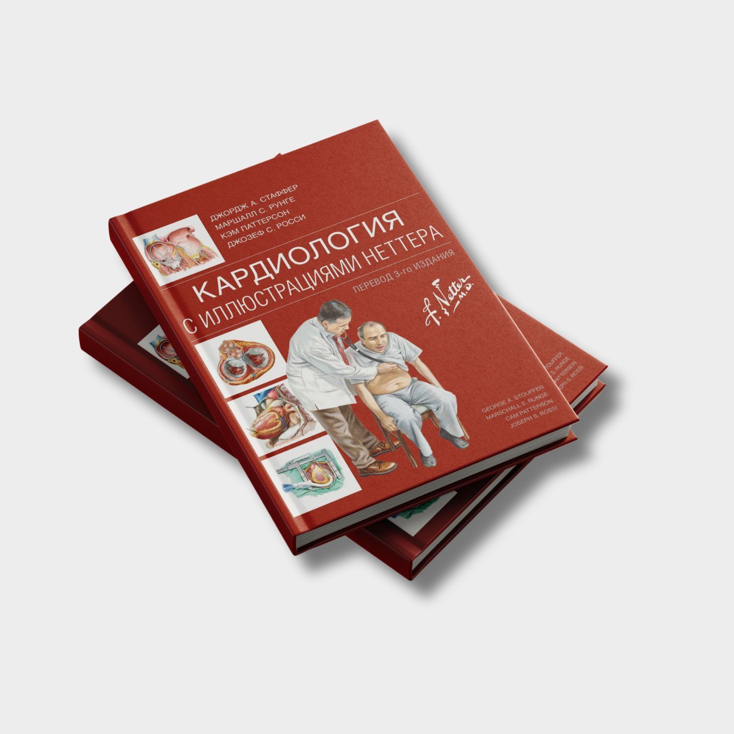 Кардиология с иллюстрациями Неттера-Стаффер