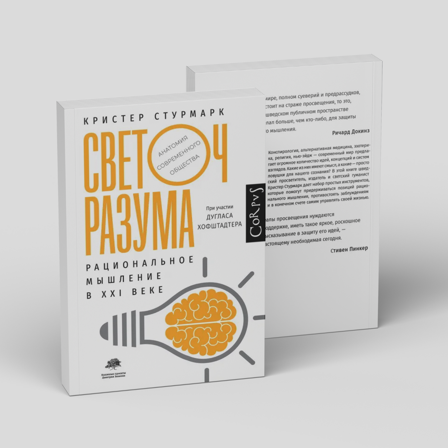 Светоч разума. Рациональное мышление в XXI веке