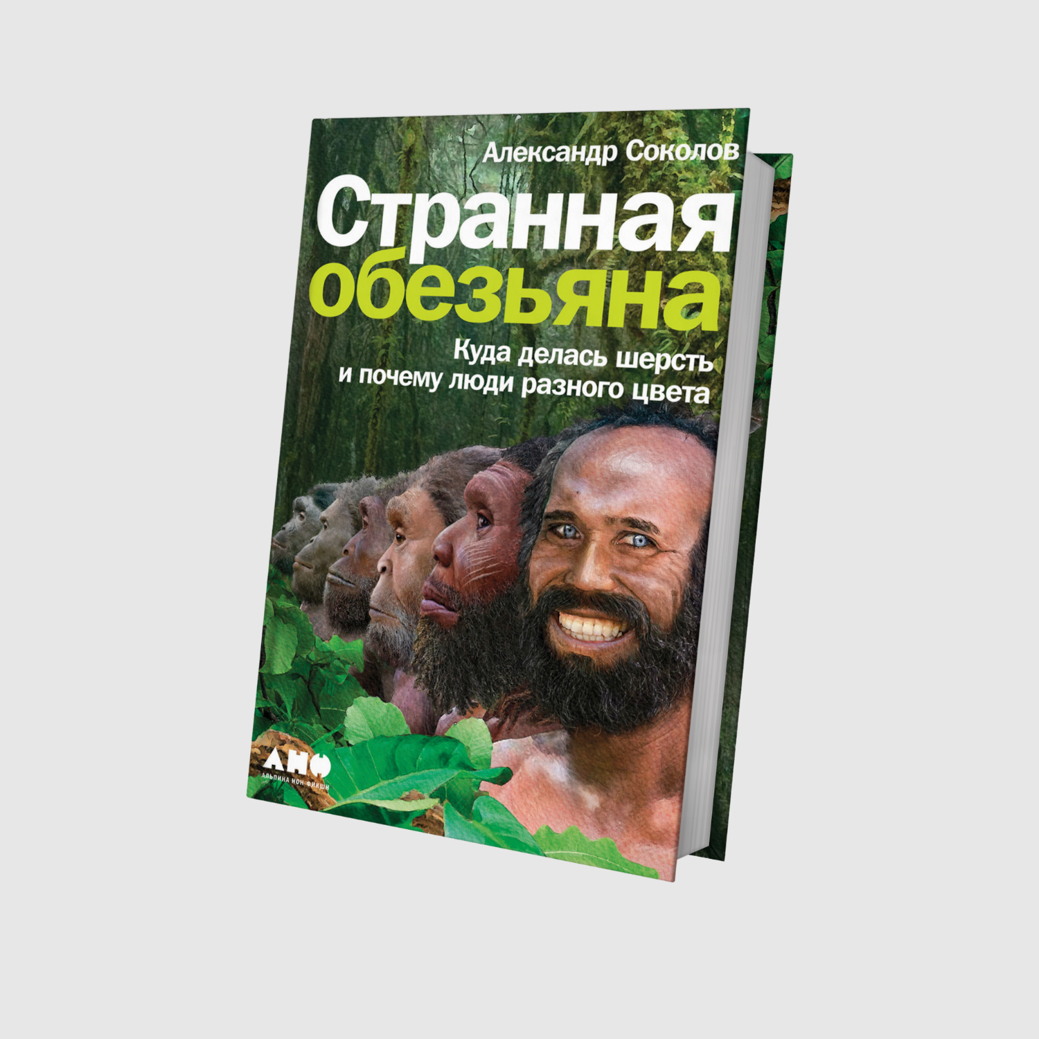 Странная обезьяна: Куда делась шерсть и почему люди разного цвета