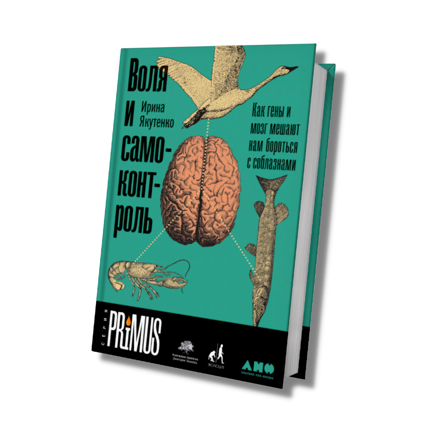 Воля и самоконтроль: Как гены и мозг мешают нам бороться с соблазнами