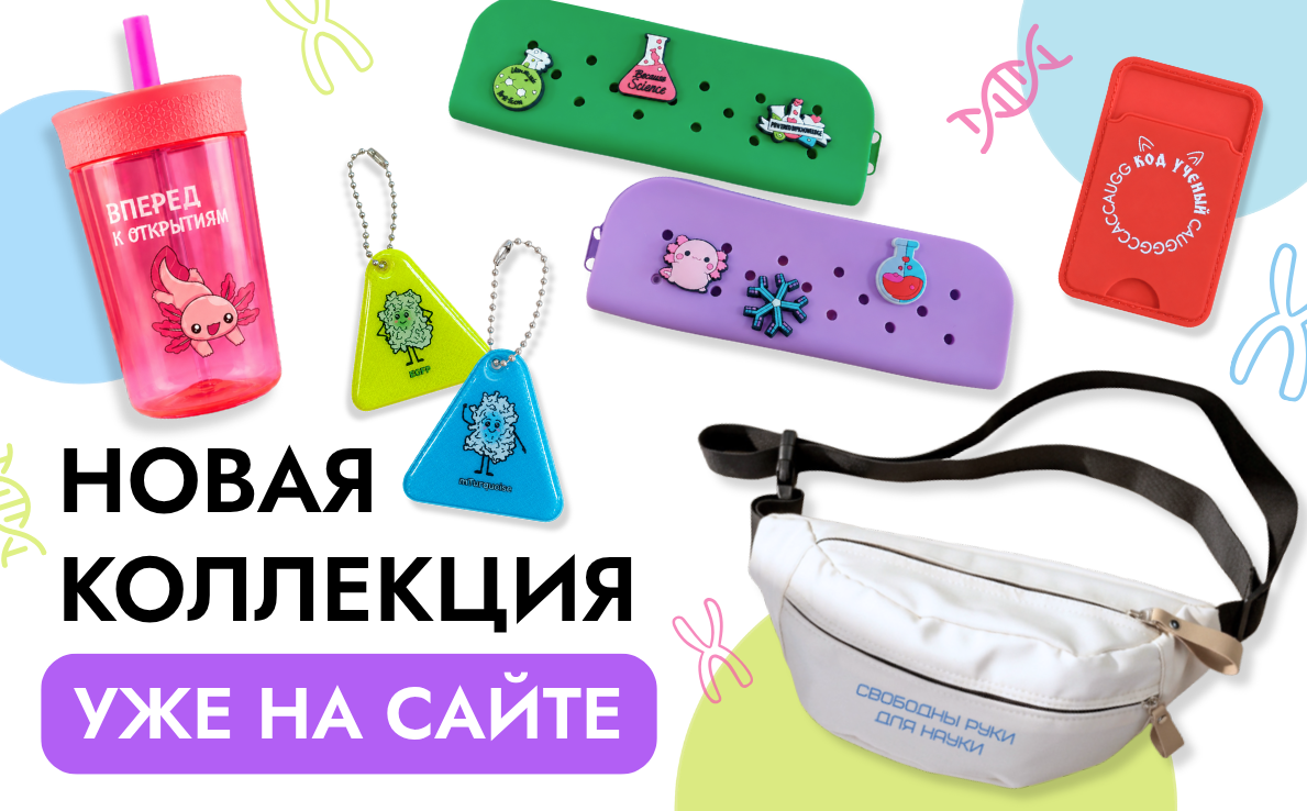 Новая коллекция
