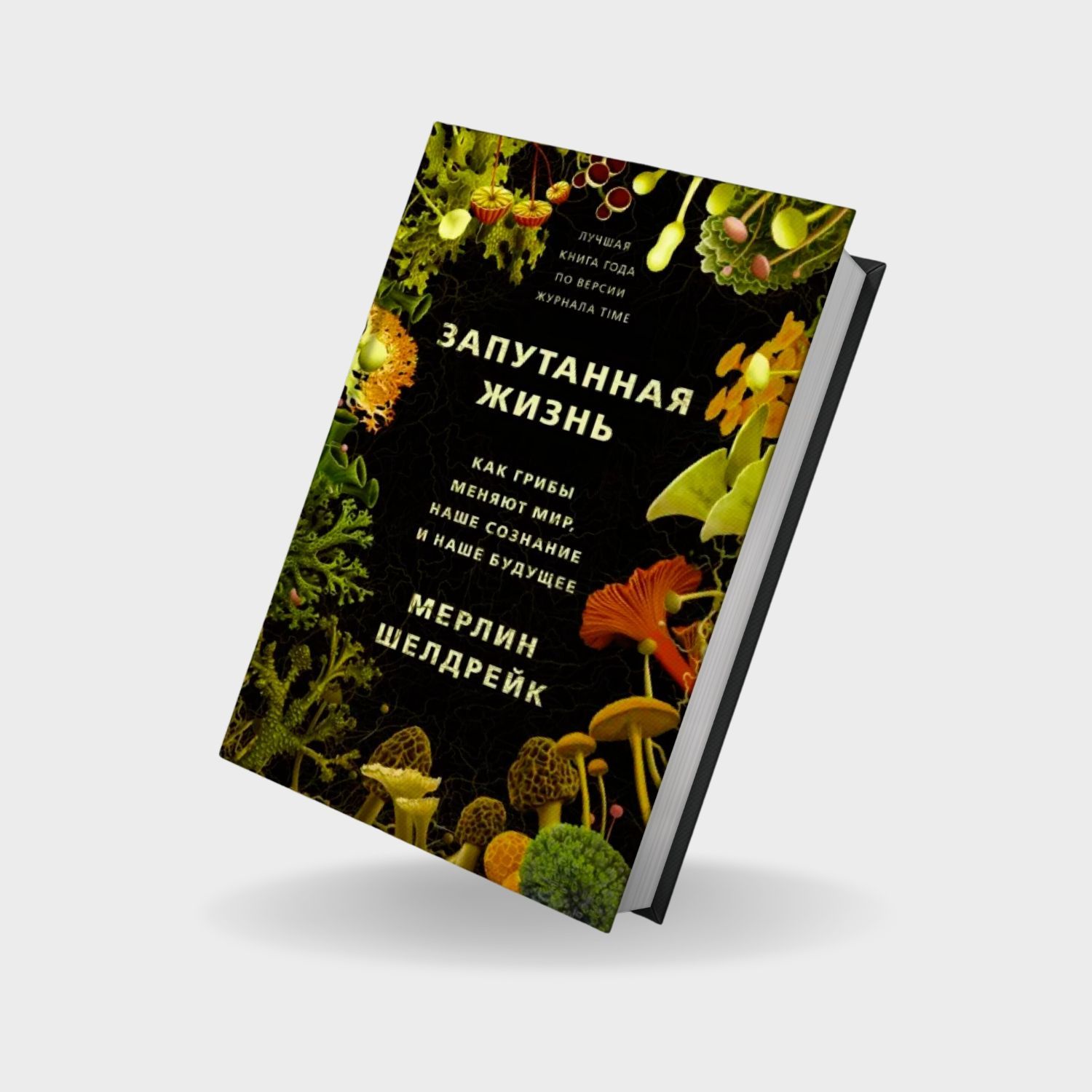 Запутанная жизнь. Как грибы меняют мир, наше сознание и наше будущее