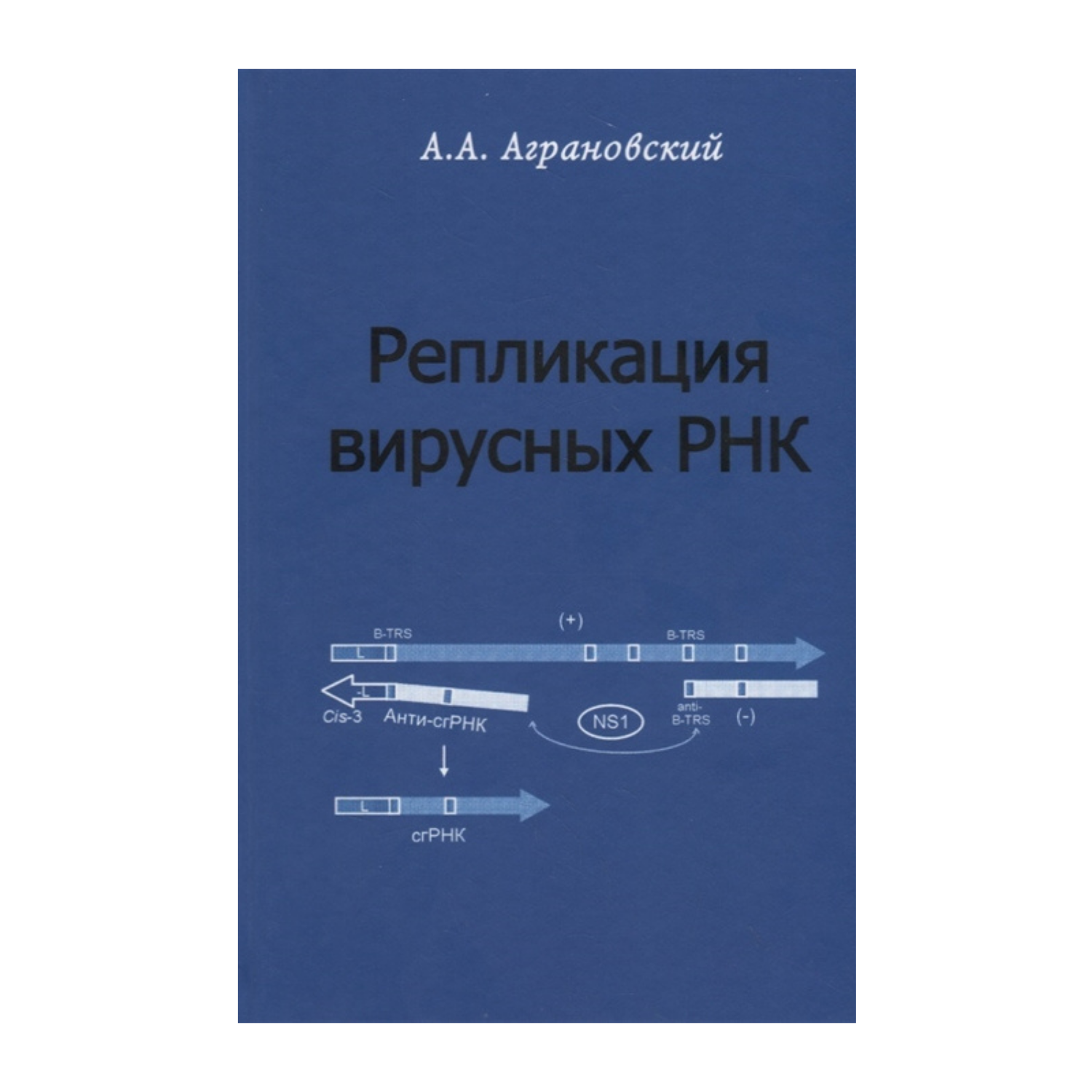 Репликация вирусных РНК