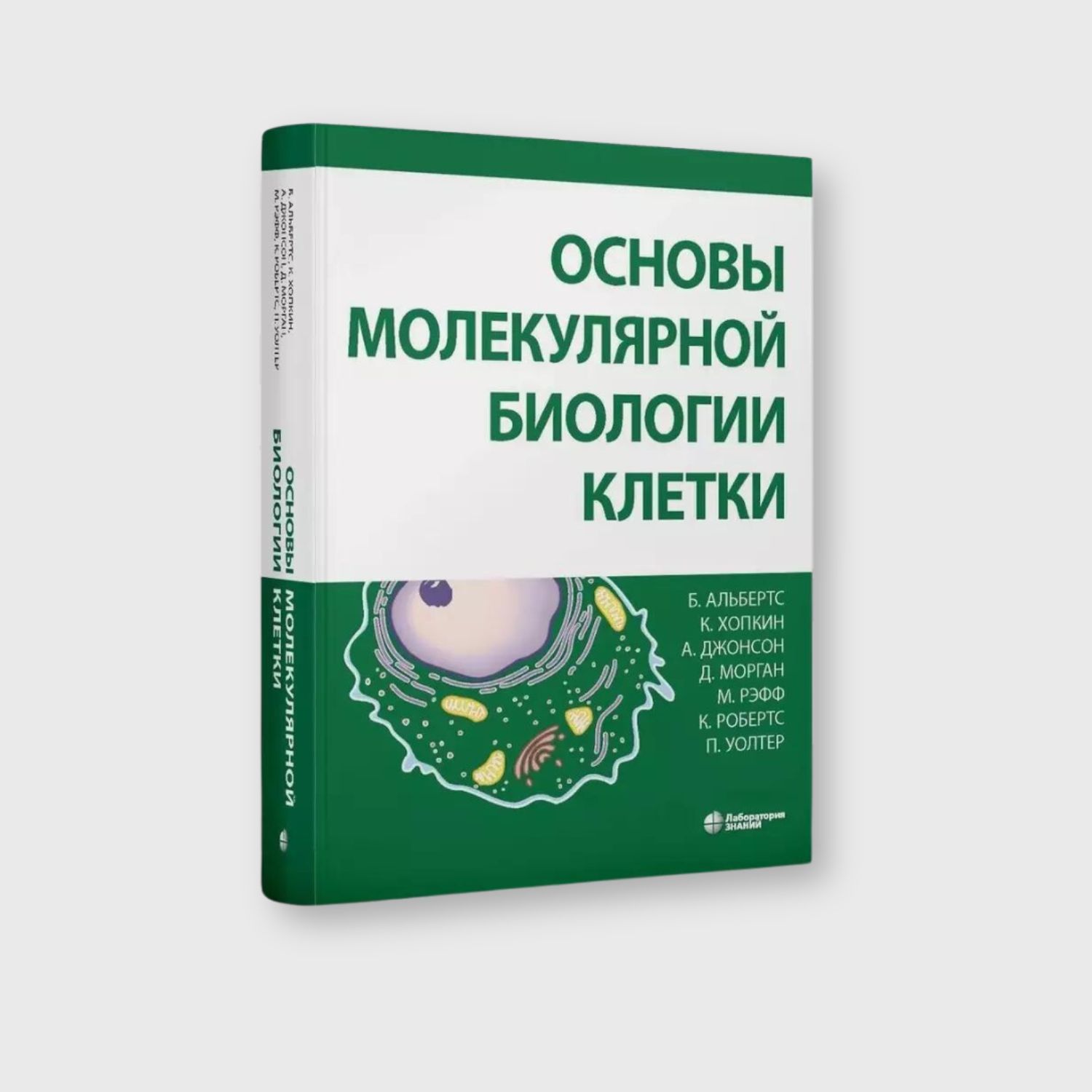Основы молекулярной биологии клетки