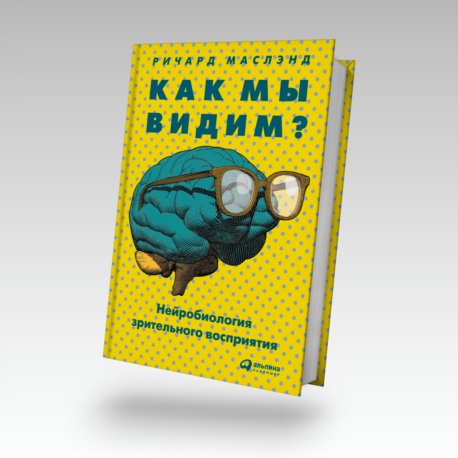 Как мы видим? Нейробиология зрительного восприятия