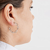earrings_плазмида_подарок_для_лаборантом__серебро_3