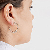 earrings_плазмида_подарок_для_лаборантом__серебро_3