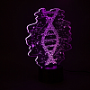 lamp_ДНК_3