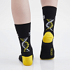 socks_король_лаборатории